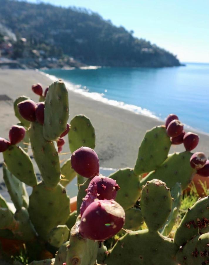 Hotel Il Nido Da Chiara La Spezia Zewnętrze zdjęcie